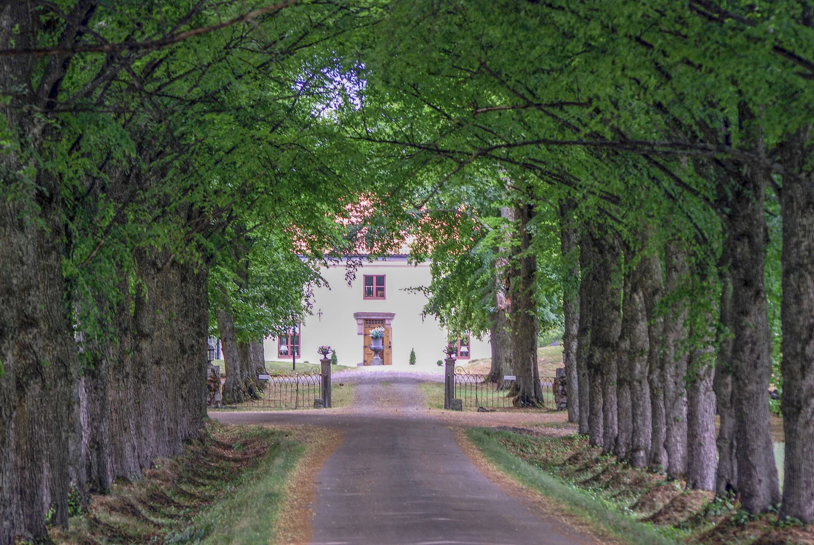 Gäddeholms herrgård med gul putsad huvudbyggnad och grönskande träd.